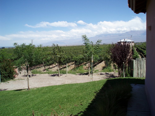 Valle de Uco (Argentinien), 900m bis 1200 m Höhe