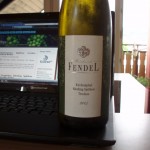 Fendel auf Laptop